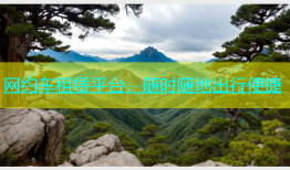 网约车租赁平台，随时随地出行便捷