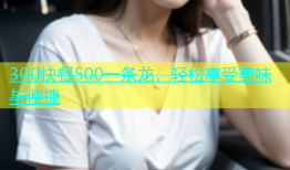 300快餐500一条龙，轻松享受美味与便捷