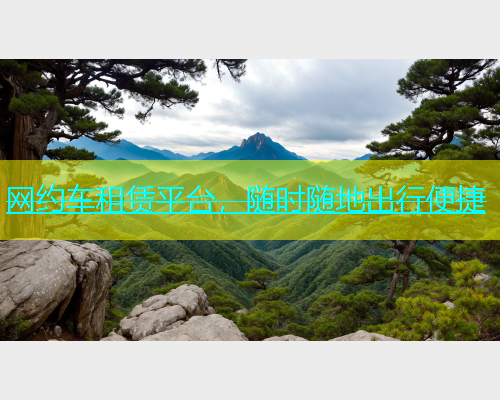 网约车租赁平台，随时随地出行便捷