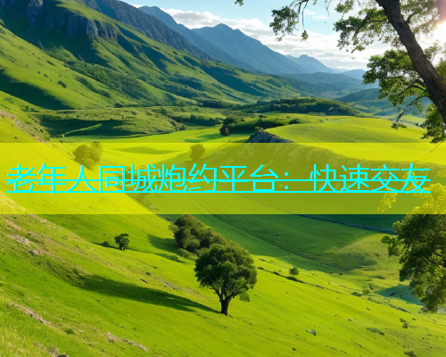 老年人同城炮约平台：快速交友